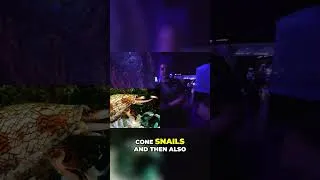 Thumbnail: There Is NO Cure If This Fish STINGS You!!
