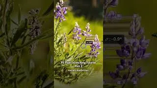 Thumbnail: Even more creative ways to use Pixel Stretching in Photoshop!