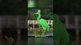 Thumbnail: Lightroom’s improved Adaptive Subject mask is so much more accurate than before!