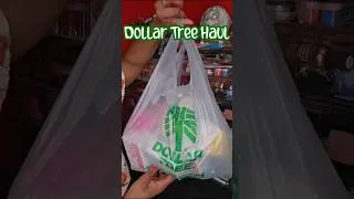 Thumbnail: $1.25 Dollar Tree Haul | Hidden Gems! #dollartree #dollartreehaul #dollartreefinds #viralfinds