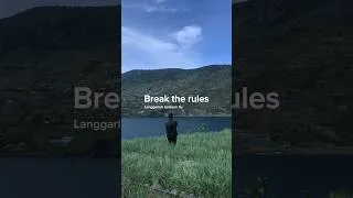 Thumbnail: Break the rules! #lyricvideo #music #sadsong #brianrahmattio #foryoupage #trendsong