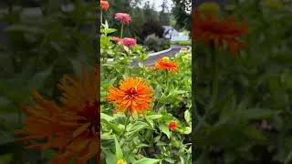 Thumbnail: I heard you were looking for a garden you never want to leave.