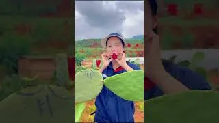 Thumbnail: Why Do Cactus Farms Even Exist?!