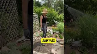 Thumbnail: Using Cardboard for Weed Suppression?? (Ditch the Weed Fabric!)