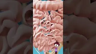 Thumbnail: He Swallowed 31 Magnets - The Aftermath Is Terrifying