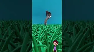 Thumbnail: Doctors Found THIS Crawling in Her Brain