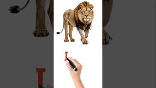 Thumbnail: This Is a Lion! 🦁 Learn Zoo Animals for Kids #shorts