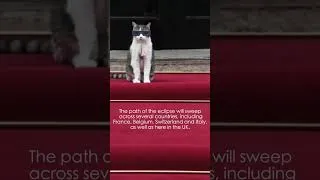 Thumbnail: Larry, The Downing Street Cat - Solar eclipse advice