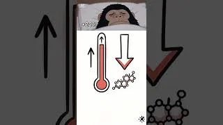 Thumbnail: "This One Sleep Change Boosts Testosterone"