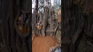 Thumbnail: Bulding Shelter - Camping  #bushcraftcamping #snowcamp #camping #woodworking #shelterbuilding