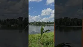 Thumbnail: Beautiful Guyana Essequibo River 🇬🇾 #outdoors #essequibo #camping