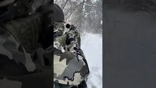 Thumbnail: Black Hills Turkeys in the Snow
