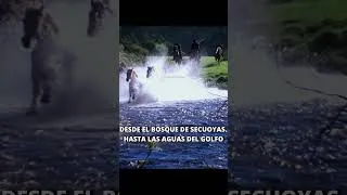 Thumbnail: Bruce Springsteen - This Land is Your Land 1980 (Subtitulada Español) HD #brucespringsteen #shorts