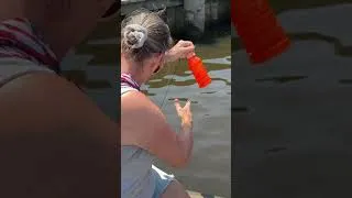 Thumbnail: Fishing with Mrs. Janet! #catfish #fishing