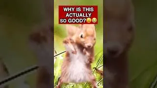 Thumbnail: NOKIA (Baby Squirrel Remix)