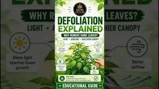 Thumbnail: What Is Defoliation?