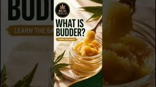 Thumbnail: Budder vs Other Concentrates: Basic Differences