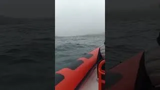 Thumbnail: was airborne on a Speedboat with tricks. sadly I couldn't record the fast fun bits !