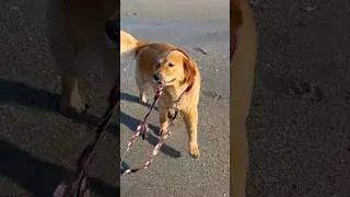 Thumbnail: Beach days with the girls 💗