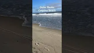 Thumbnail: Outer Banks, Coquina Beach. Underrated lowly populated beach near the middle of North Carolinas Obx
