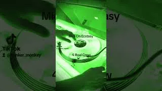 Thumbnail: 1 August 2026