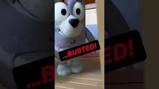Thumbnail: Muffin Gets Caught on Faceytalk 🤪