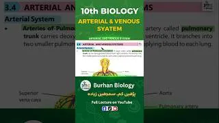 Thumbnail: Arterial and venous system l 10th class Biology l Chapter 3 l New Book