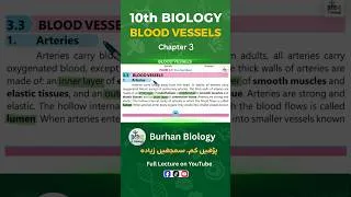 Thumbnail: Blood vessels l 10th class Biology l Chapter 1 #shorts