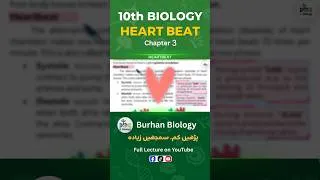Thumbnail: Heartbeat 🫀 l دل کی دھڑکن l #10thClass #biology #newbook #shorts