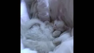 Thumbnail: somnolence in d minor