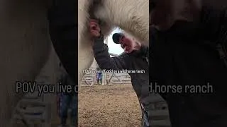 Thumbnail: POV you live off-grid on a wild horse ranch.