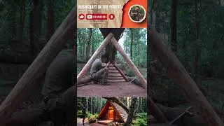 Thumbnail: Building a Bushcraft Roof Under a Giant Fallen Tree  #survival #survivalskills #camping