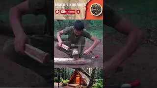 Thumbnail: Cutting Logs and Building The First Shelter Frame