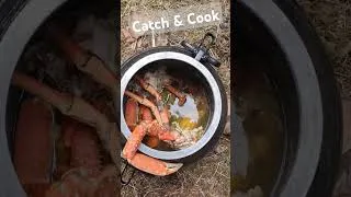 Thumbnail: Woodland dinner with Amber #crab #catchandcook #wilderness