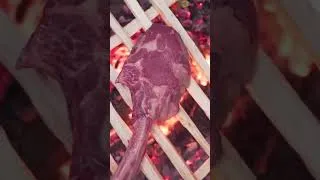 Thumbnail: Can you cook a steak on a wooden grill? #steak #cooking #bbq