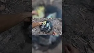 Thumbnail: BBQ in the Wild! Crocs and Coconuts!     #adventure #fishing #explore #camping #cooking