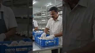 Thumbnail: Mushroom Farming Business | చిన్న స్థలంలో ప్రారంభించగల వ్యాపారం 🍄