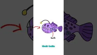 Thumbnail: Worst Mating Ritual - Angler Fish