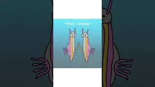 Thumbnail: Worst Mating Ritual - Sea Slug