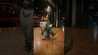 Thumbnail: The Lion King - Rhino Transformation