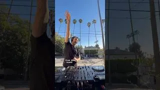 Thumbnail: 5 years with these palm trees