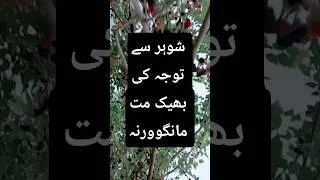 Thumbnail: Shohar SA tawaja mat mango |#youtubeshorts #womenempowerment #motivation