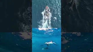 Thumbnail: South Africa's Wild Coast and One of Nature's Greatest Spectacles