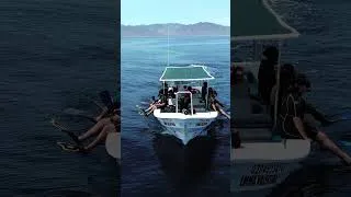 Thumbnail: Orcas & Ocean Giants 🐋 Isla Cerralvo Ocean Safari   #orcaencounter #wildencounter #lapaz