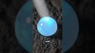 Thumbnail: The Most Boring Rock on Earth Hides Something Insane