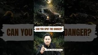 Thumbnail: 400+ Bee Stings… Yet Something Else Kept Him Alive 🤯 | The Power of Mindset #shorts