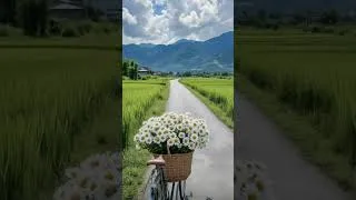 Thumbnail: The Mind's Promenade 🌾🚲 Meadow Dreams, Wandering Thoughts & The Endless Green Horizon