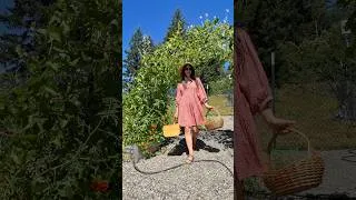 Thumbnail: Harvest the garden with me 👩‍🌾🧺