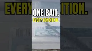Thumbnail: The Shaky Head Doesn't Care — It Just Catches Fish