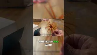 Thumbnail: Fish This Bait Anywhere & Get Vicious Bites!